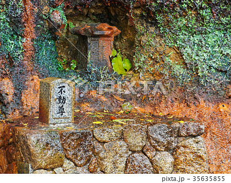 有馬温泉 亀乃尾の滝 35635855