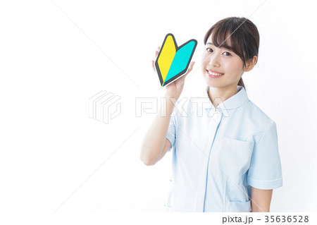 看護学生・初心者マーク 看護学生・初心者マーク 35636528