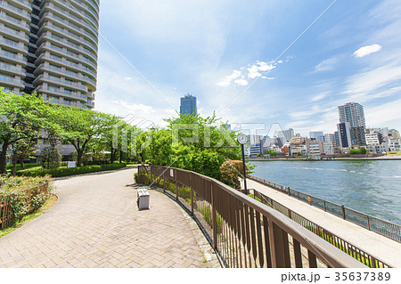 川沿いのタワーマンションと青空の写真素材