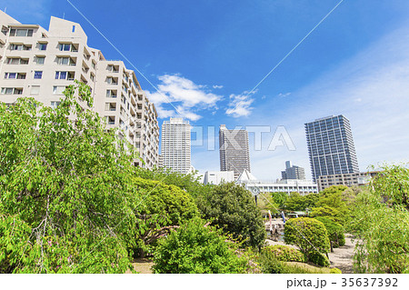 タワーマンションのある都市風景 タワーマンションのある都市風景 35637392