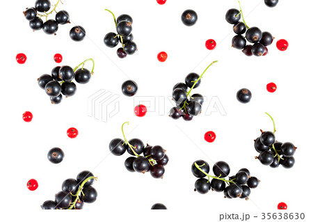 berries of black currant and red currant isolated 35638630