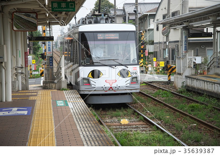 招き猫電車 35639387