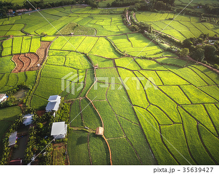green rice paddy field taken in Nan North of Thai green rice paddy field taken in Nan North of Thai 35639427