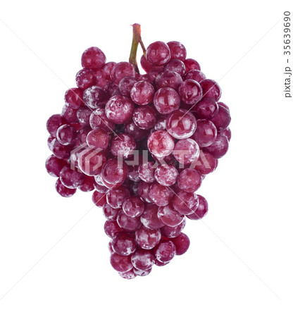 grape grape 35639690