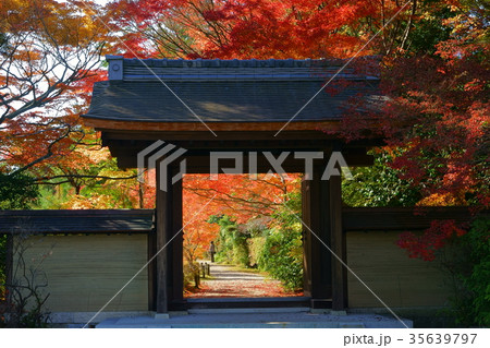 奈良・忍辱山円成寺の秋15 奈良・忍辱山円成寺の秋15 35639797