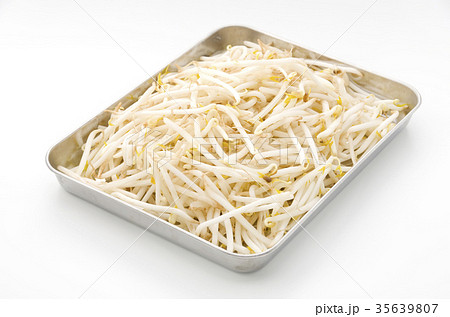 もやし もやし 35639807