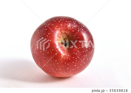 リンゴ（千雪） 35639818