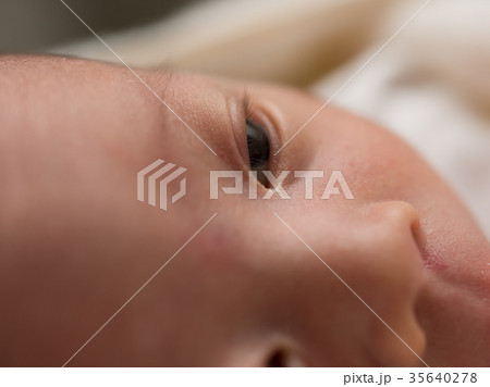 新生児　生後0ヶ月 35640278