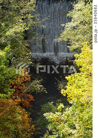 八ヶ岳中信高原国定公園(八千穂高原)八ヶ嶺橋下の滝と落葉広葉樹林 35640683