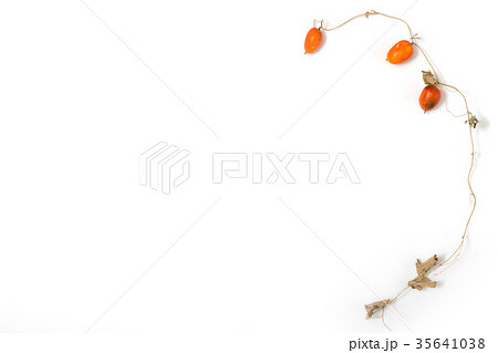 秋から冬のフォトフレーム Autumn-Winter Photo Frame 35641038