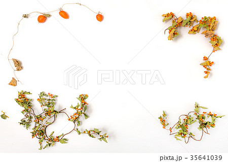 秋から冬のフォトフレーム Autumn-Winter Photo Frame 35641039