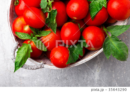 Red tomato in grey basket on grey background Red tomato in grey basket on grey background 35643290