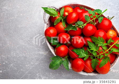 Red tomato in grey basket on grey background Red tomato in grey basket on grey background 35643291