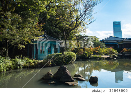 四天王寺 極楽浄土の庭  35643606