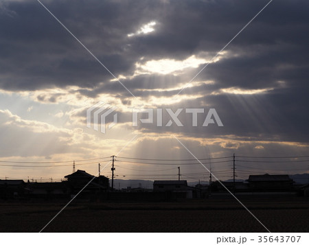 天使のはしご 35643707