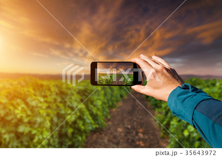 Photographing with smartphone in hand. Travel Photographing with smartphone in hand. Travel 35643972