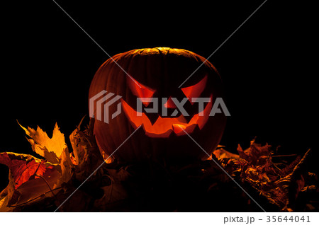 halloween pumpkin illuminates the darkness around halloween pumpkin illuminates the darkness around 35644041