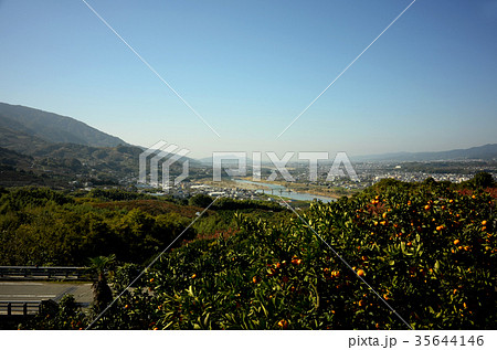蜜柑畑と紀の川風景 35644146
