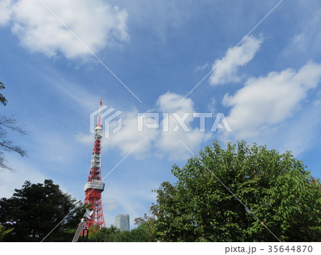 青空と東京タワー 青空と東京タワー 35644870