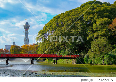 天王寺公園から見る通天閣 35645415