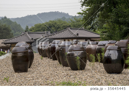 住宅 甕 植物 35645445