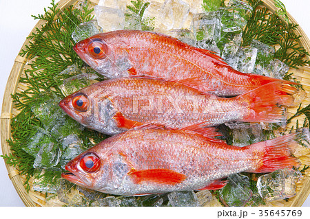 のどぐろ 35645769