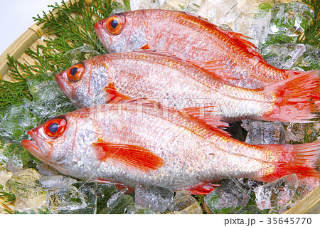 のどぐろ 35645770