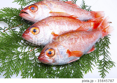 のどぐろ 35645787