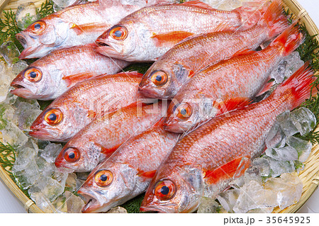 のどぐろ のどぐろ 35645925