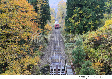 紅葉の只見線 紅葉の只見線 35645989