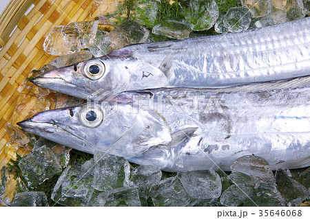 太刀魚 食材 太刀魚 食材 35646068