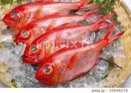 金目鯛　食材 35646379