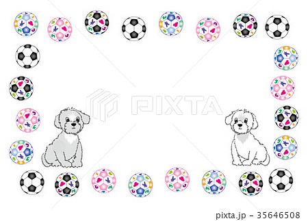 サッカーボールと可愛い犬のイラストのメッセージカードのイラスト素材