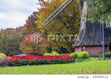 愛知県 名古屋市 名城公園 愛知県 名古屋市 名城公園 35646522