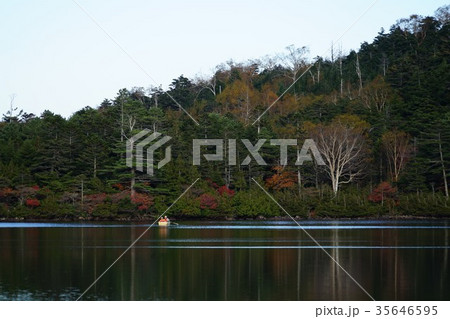 白駒の池でボート遊びの二人(しらこまのいけ)八千穂高原 白駒の池でボート遊びの二人(しらこまのいけ)八千穂高原 35646595