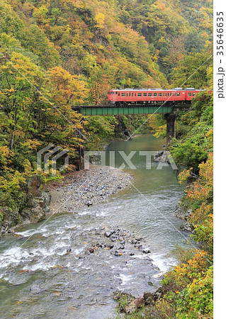 紅葉の只見線 35646635