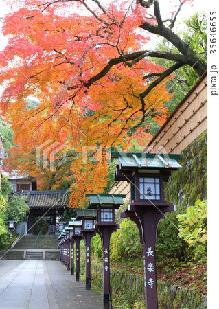 京都　秋の長楽寺 35646655