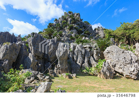 大石林山　悟空岩 35646798