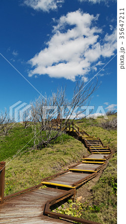 in australia the walkway to the beach in australia the walkway to the beach 35647211