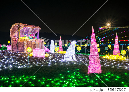 東京ドイツ村 イルミネーション 17年 千葉県袖ヶ浦市 の写真素材