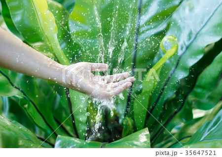 Water pouring in hand on nature background 35647521