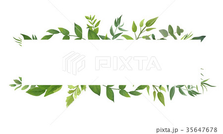 Vector card Design green leaf greenery eucalyptus 35647678