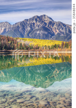 Vertical of aspens reflected in Rocky Mountains Vertical of aspens reflected in Rocky Mountains 35648044