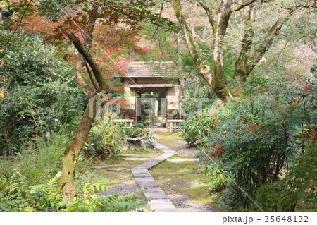 直指庵紅葉 直指庵紅葉 35648132