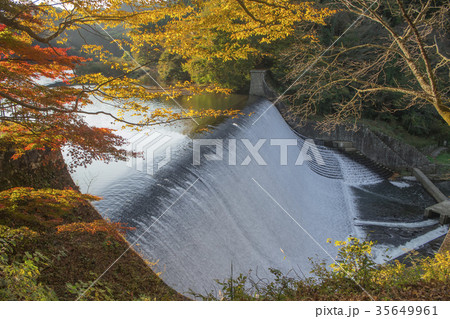白水溜池堰堤の紅葉 35649961