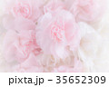 Pink Carnation Flowers Bouquet 35652309