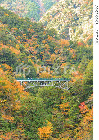 錦秋の寸又峡飛龍橋 錦秋の寸又峡飛龍橋 35652567