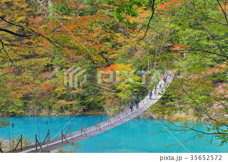 錦秋の寸又峡夢の吊り橋 35652572