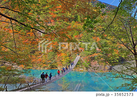錦秋の寸又峡夢の吊り橋 35652573