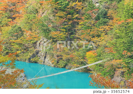錦秋の寸又峡夢の吊り橋 35652574